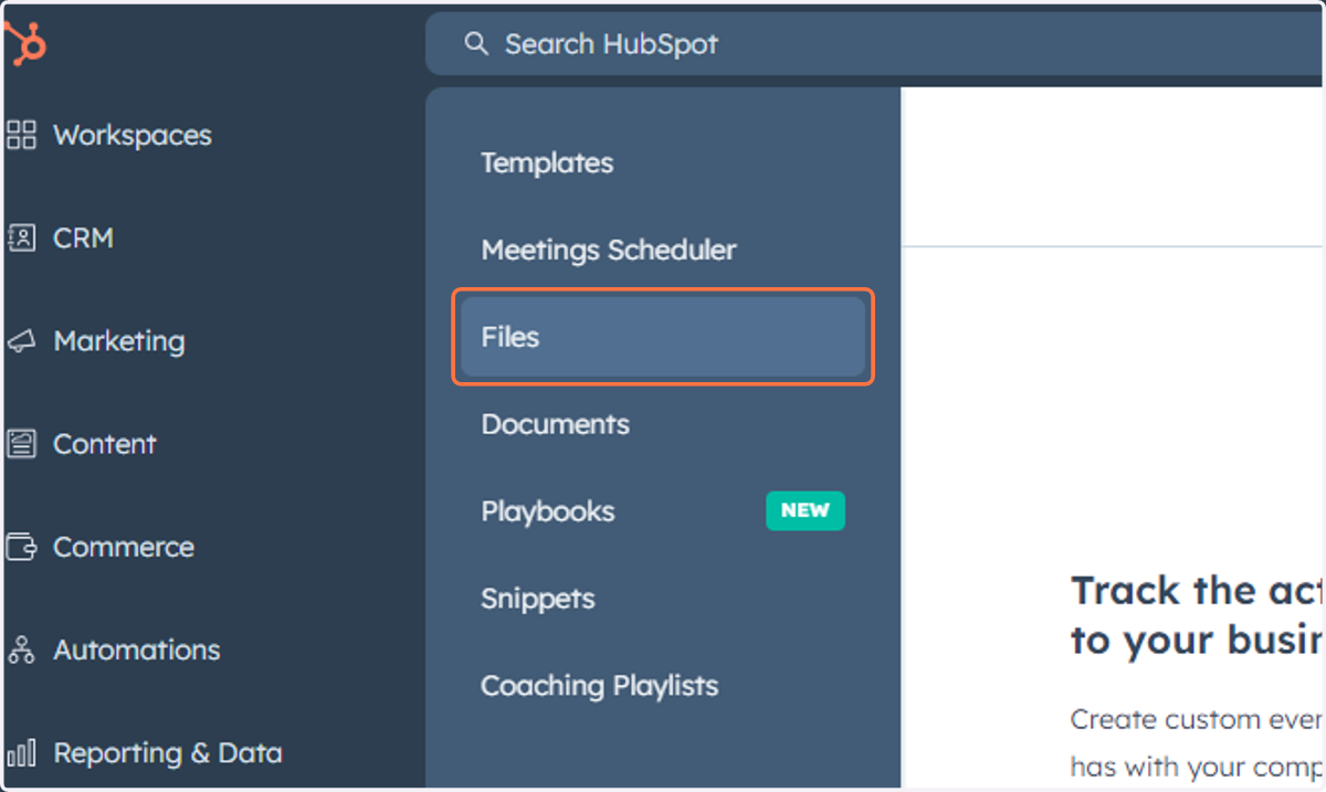 Click on Files
