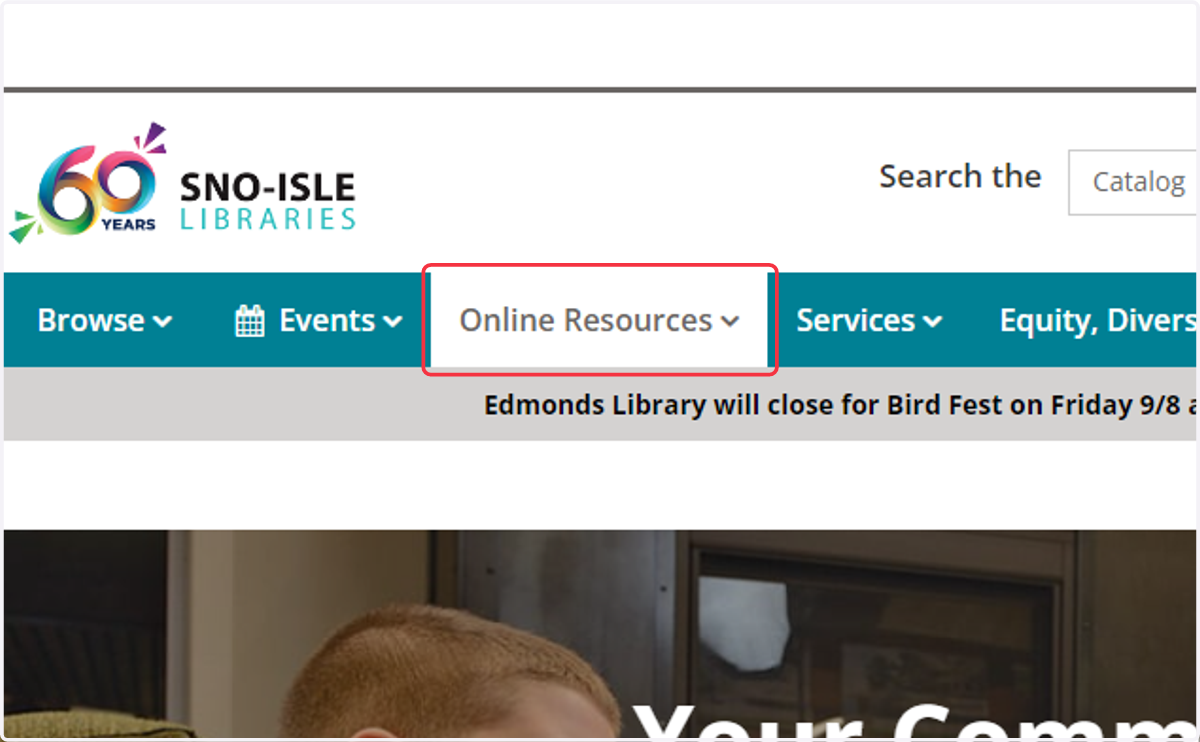 Click on Online Resources…