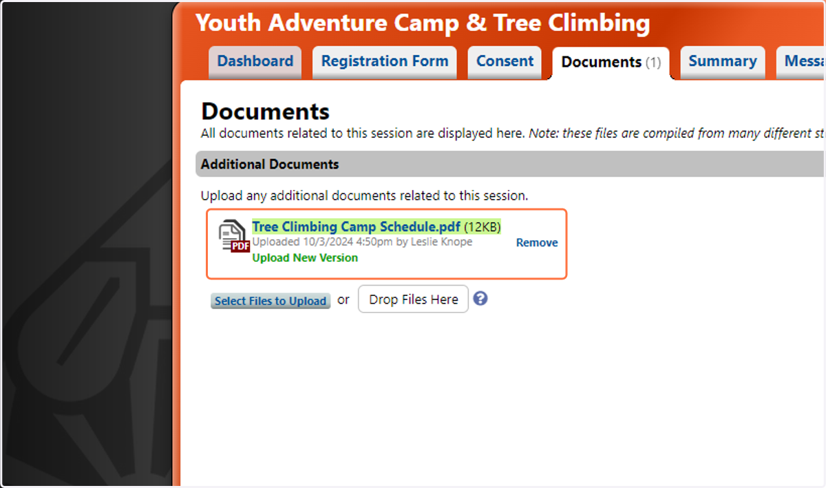After uploading, the file will be visible under the Additional Documents heading
