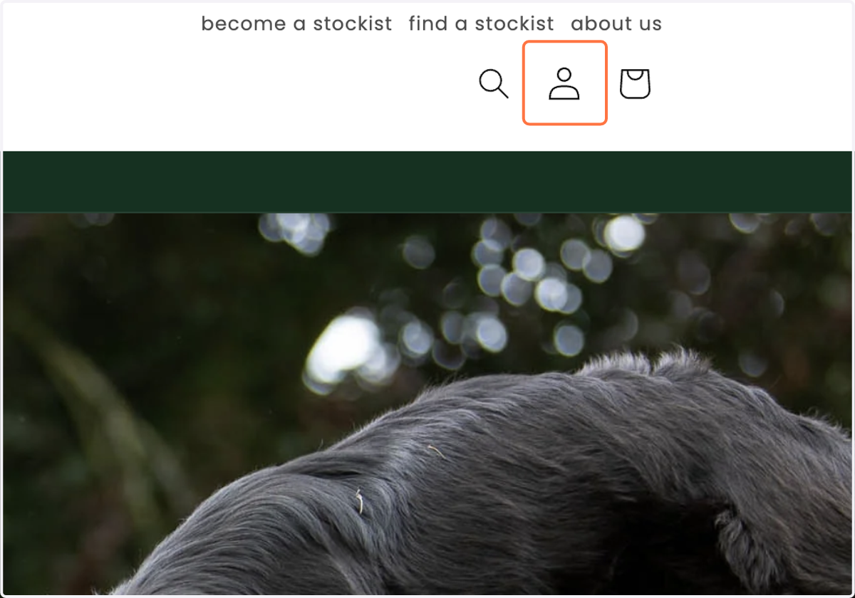 Click on Log in