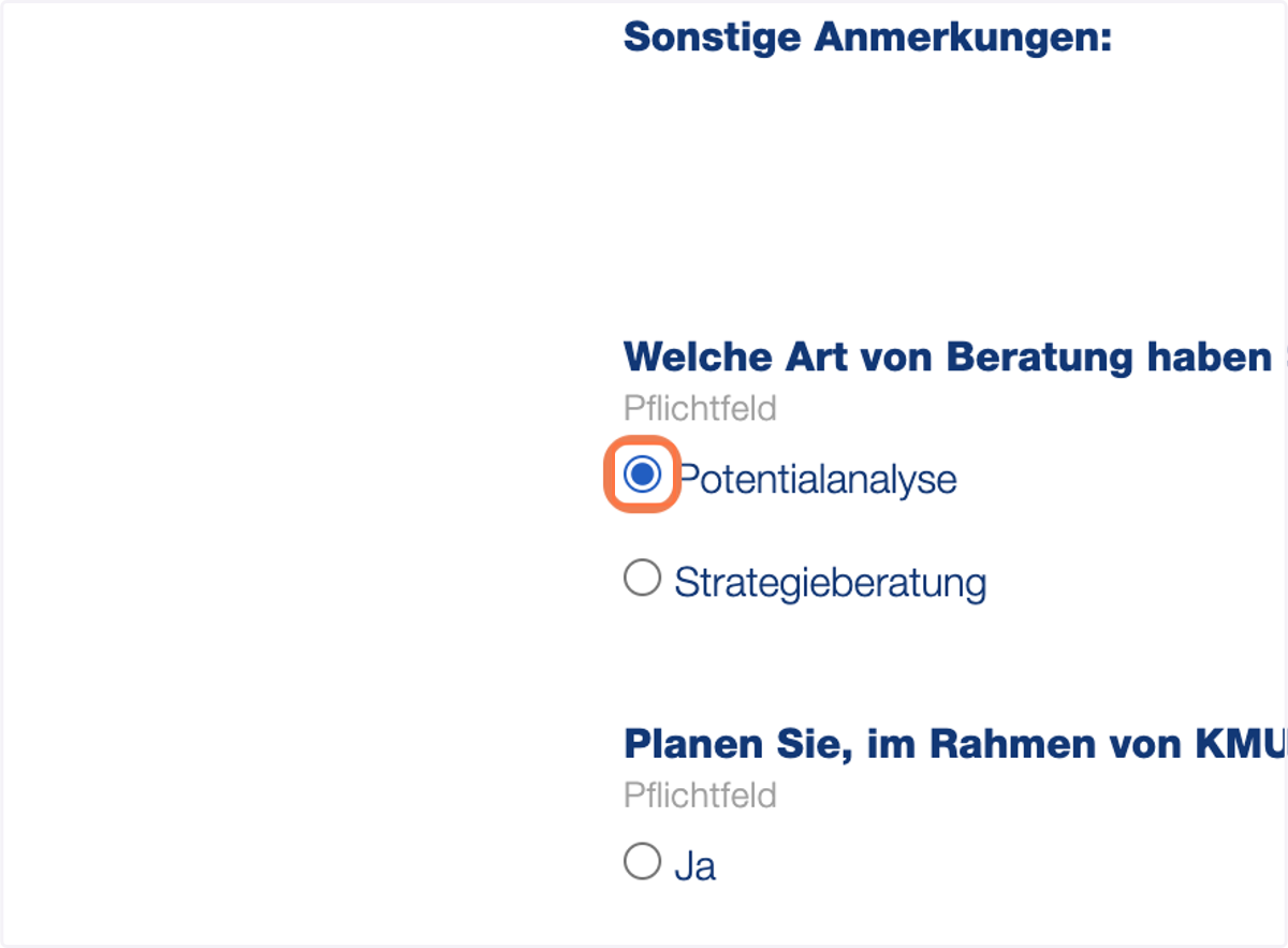 Bitte wählen Sie die "Potentialanalyse" aus.