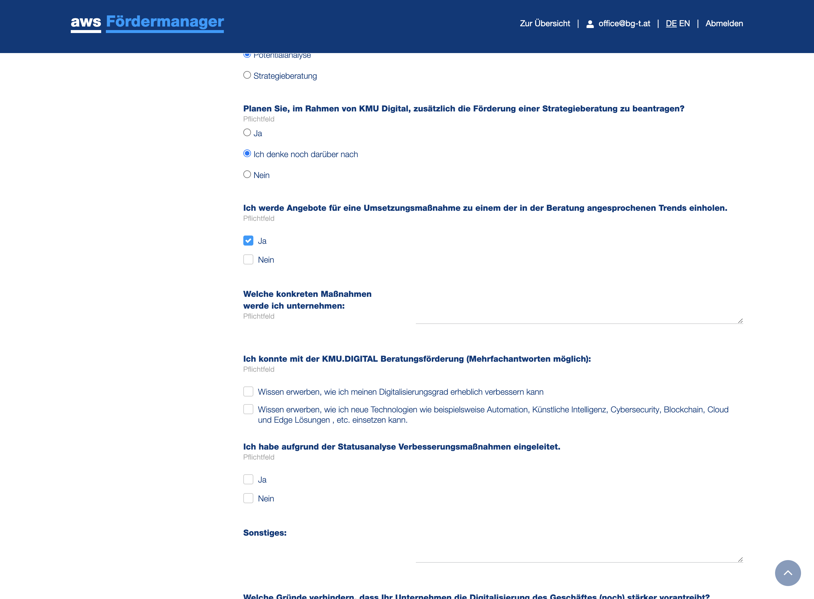 Bitte fügen Sie mind. eine Maßnahmen ein, die Sie aus dem Beratungsprotokoll ergeben hat. (z.B. Website Optimierung, Social Media Optimierung, Online Shop Überarbeitung,... etc.)
