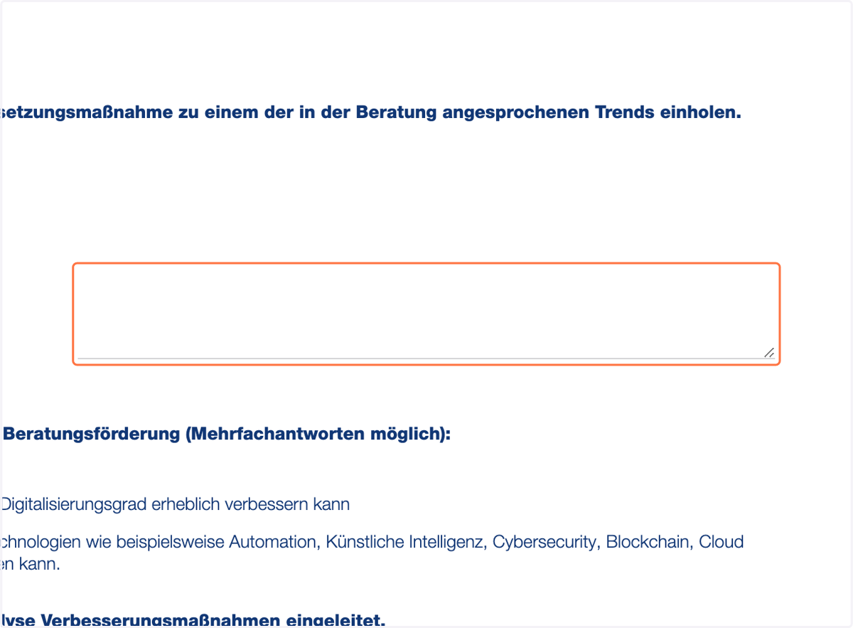 Bitte fügen Sie mind. eine Maßnahmen ein, die Sie aus dem Beratungsprotokoll ergeben hat. (z.B. Website Optimierung, Social Media Optimierung, Online Shop Überarbeitung,... etc.)