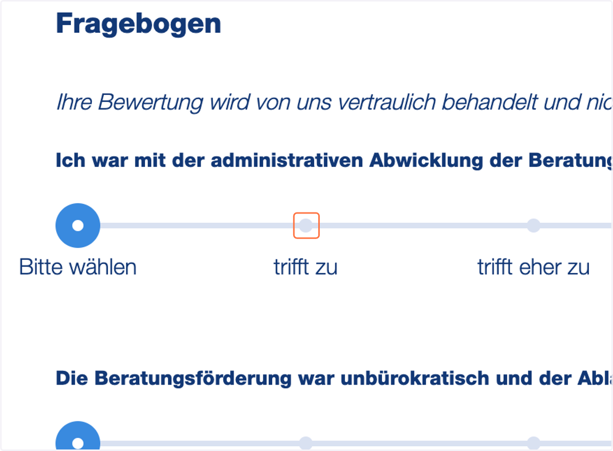 Im letzten Schritt wird ein Feedback Fragenbogen ausgefüllt.