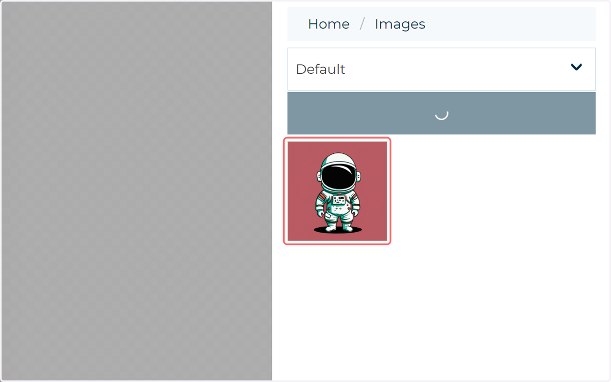 Customers can select images from their existing uploaded albums