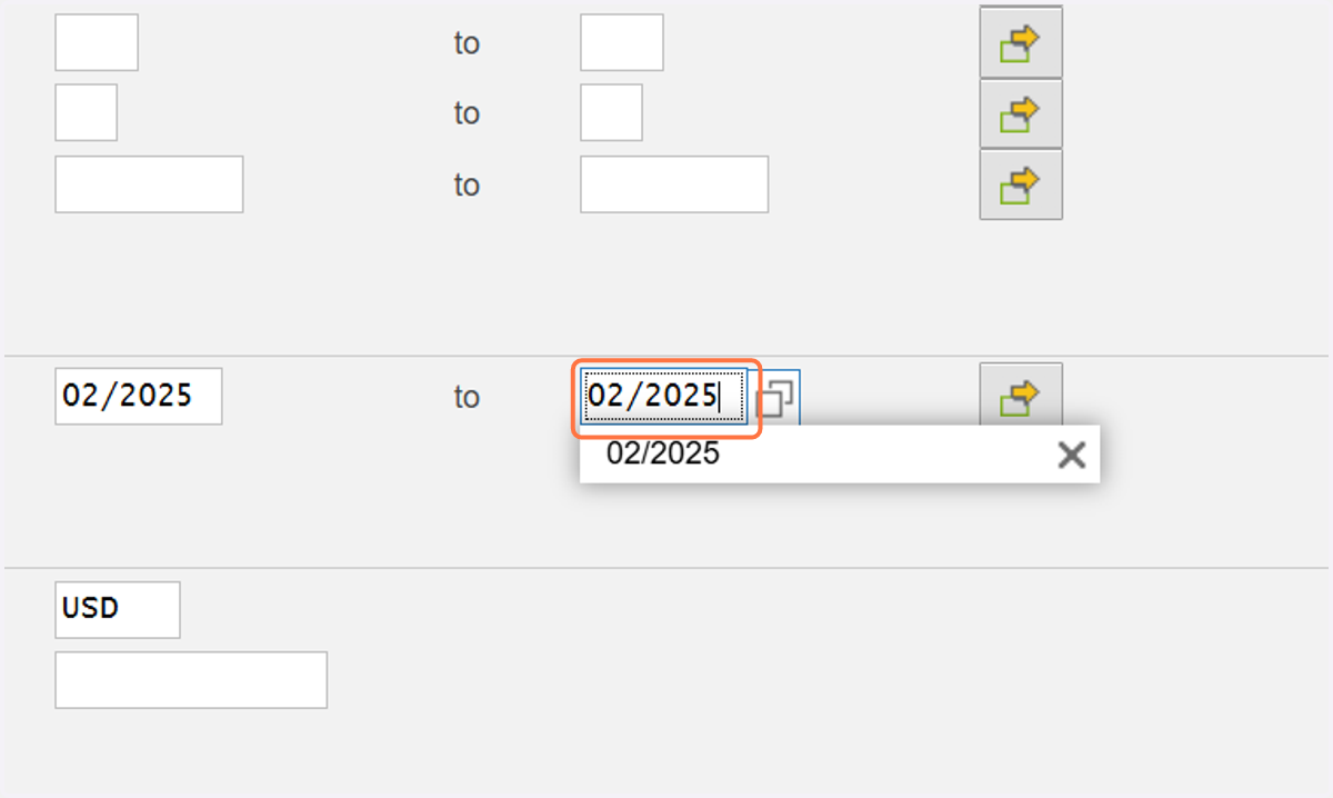 For example the month of Feb. "02/2025"
