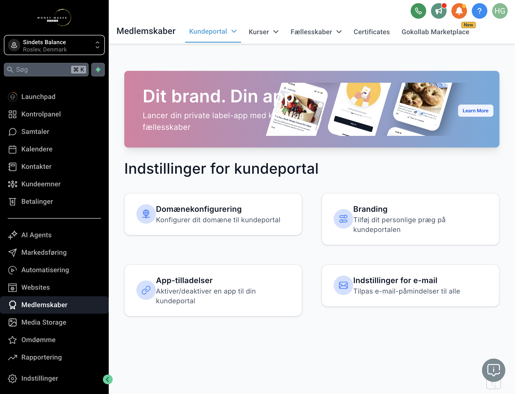 Klik på Domain setup/Domænekonfigurering