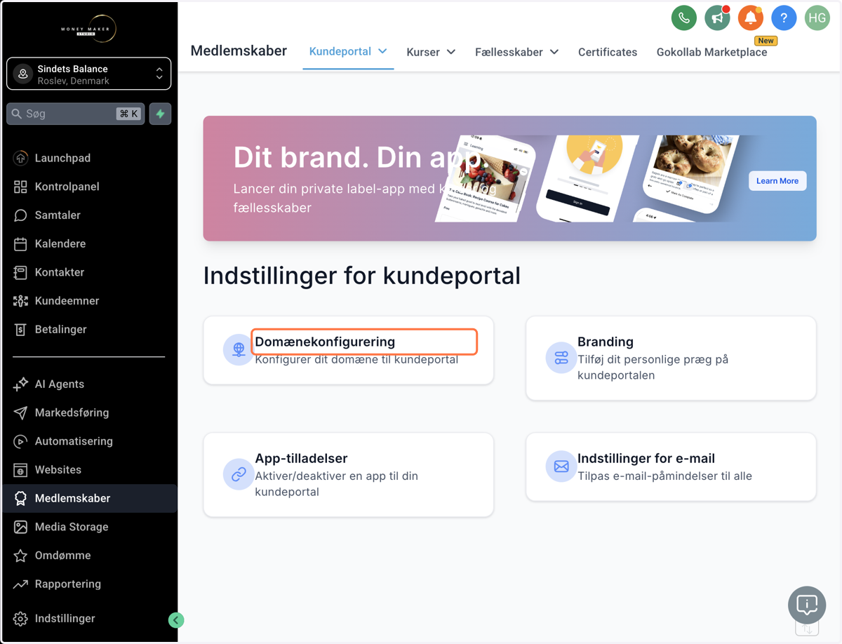Klik på Domain setup/Domænekonfigurering