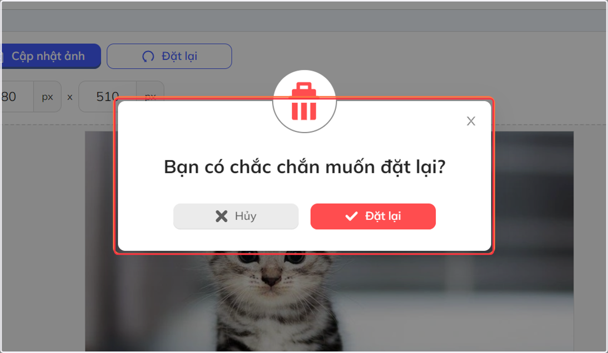 Khung nhắc nhở bạn có chắc chắn muốn đặt lại ảnh không