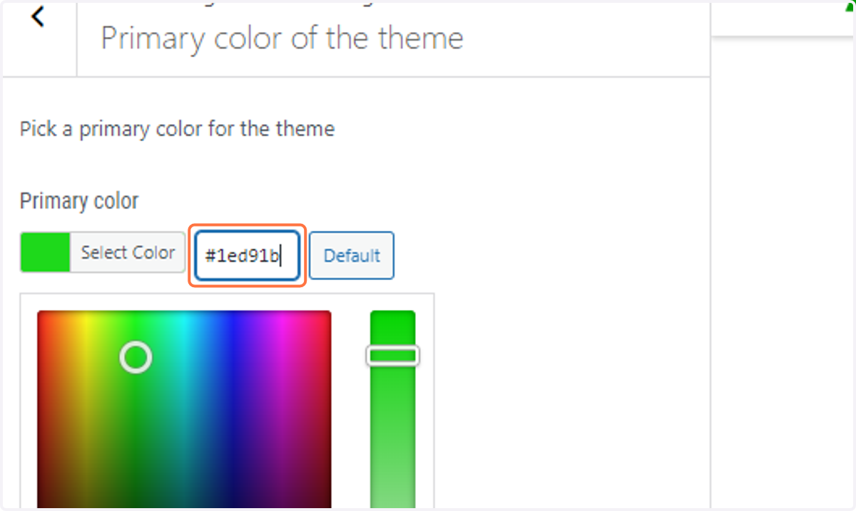 Paste the color hash into the available input