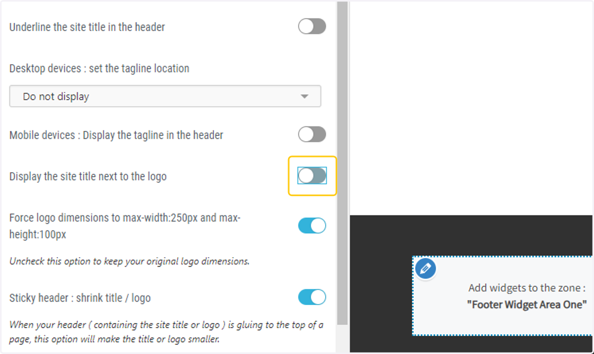Turn off the site title option
