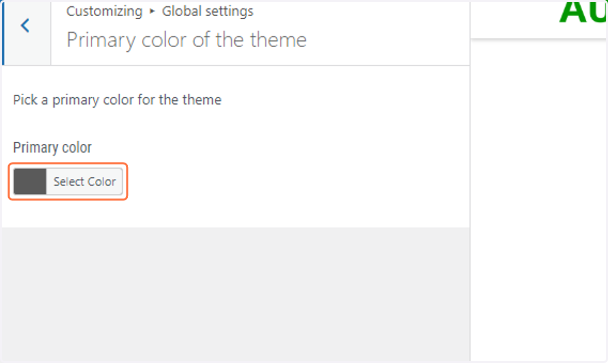 Return to the WordPress customizer and click on Select Color