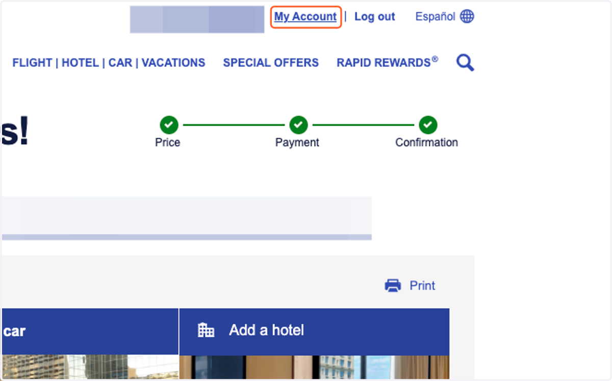 After purchasing your flight, click on My Account