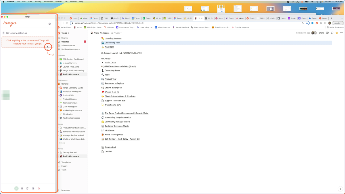 As soon as you click CAPTURE WORKFLOW, you'll see our real-time capture panel appear to the left of your browser.