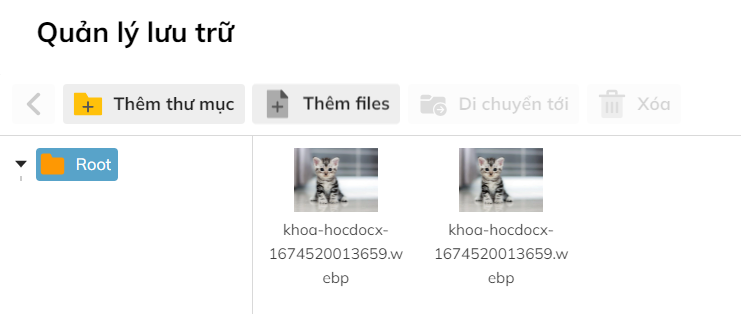 Tại "Quản lý lưu trữ" chọn "Thêm thư mục" hoặc "Thêm files" để phân loại, sắp xếp hình ảnh
