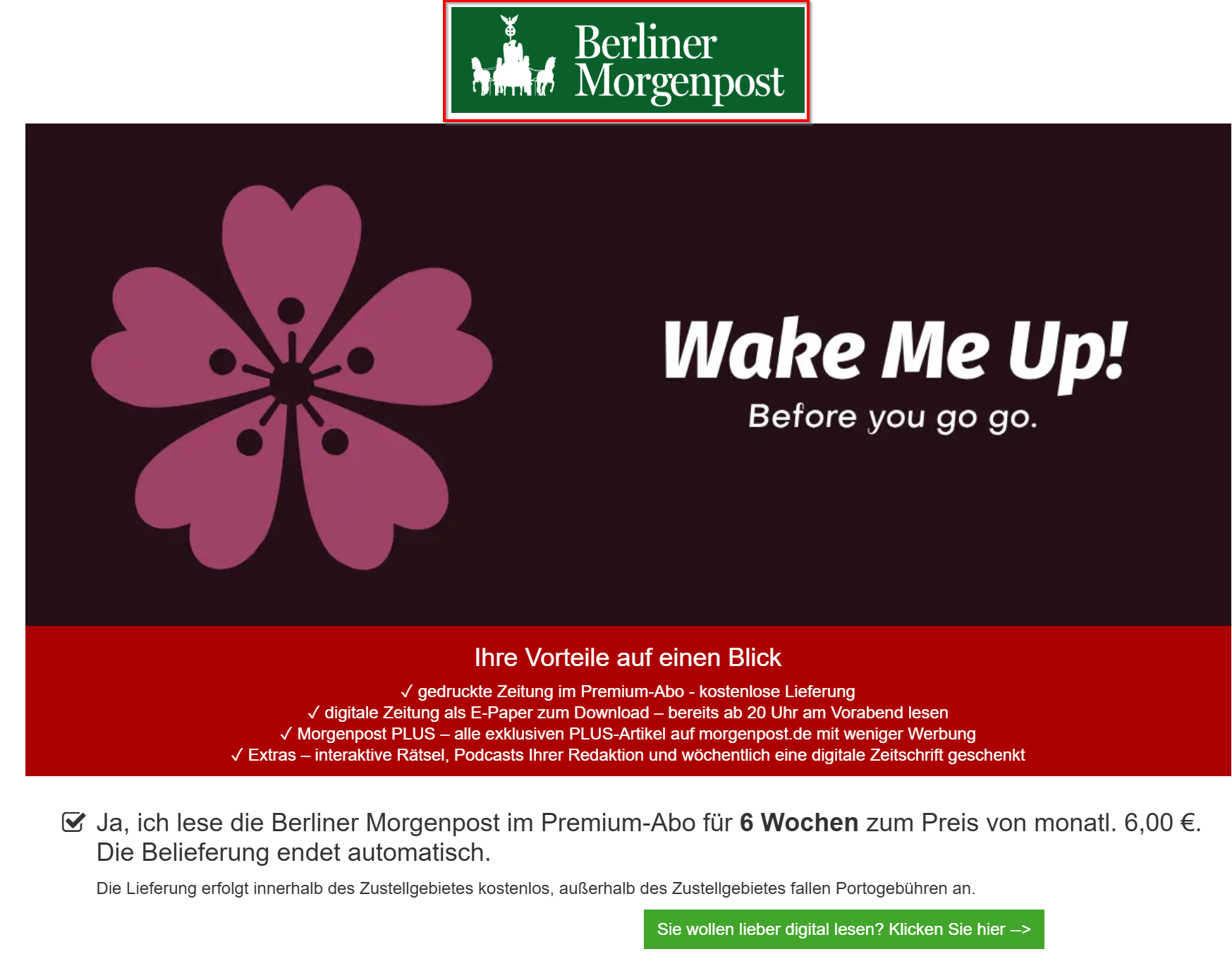 Beispiel Logo-Einblendung