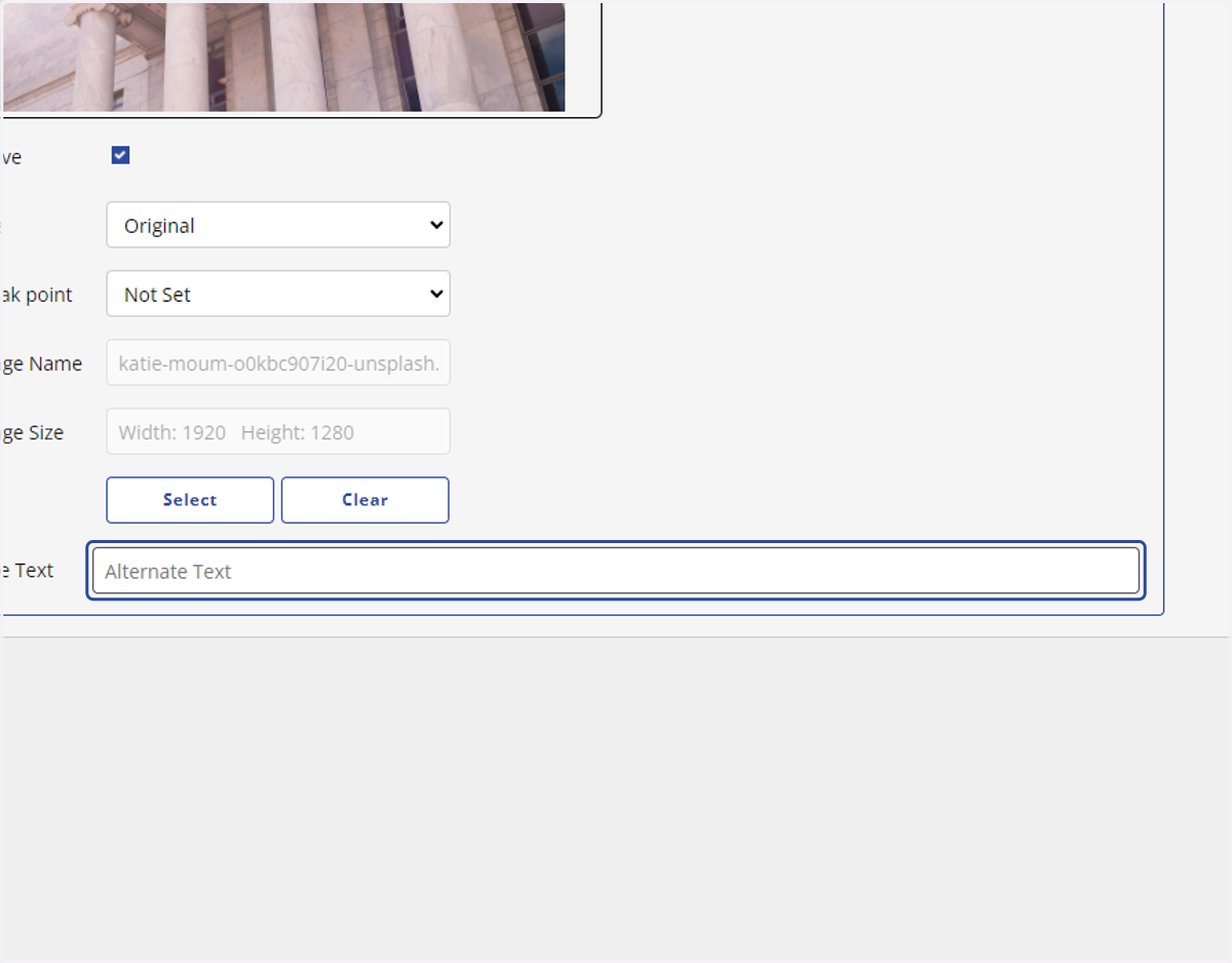 Click on Alternate Text