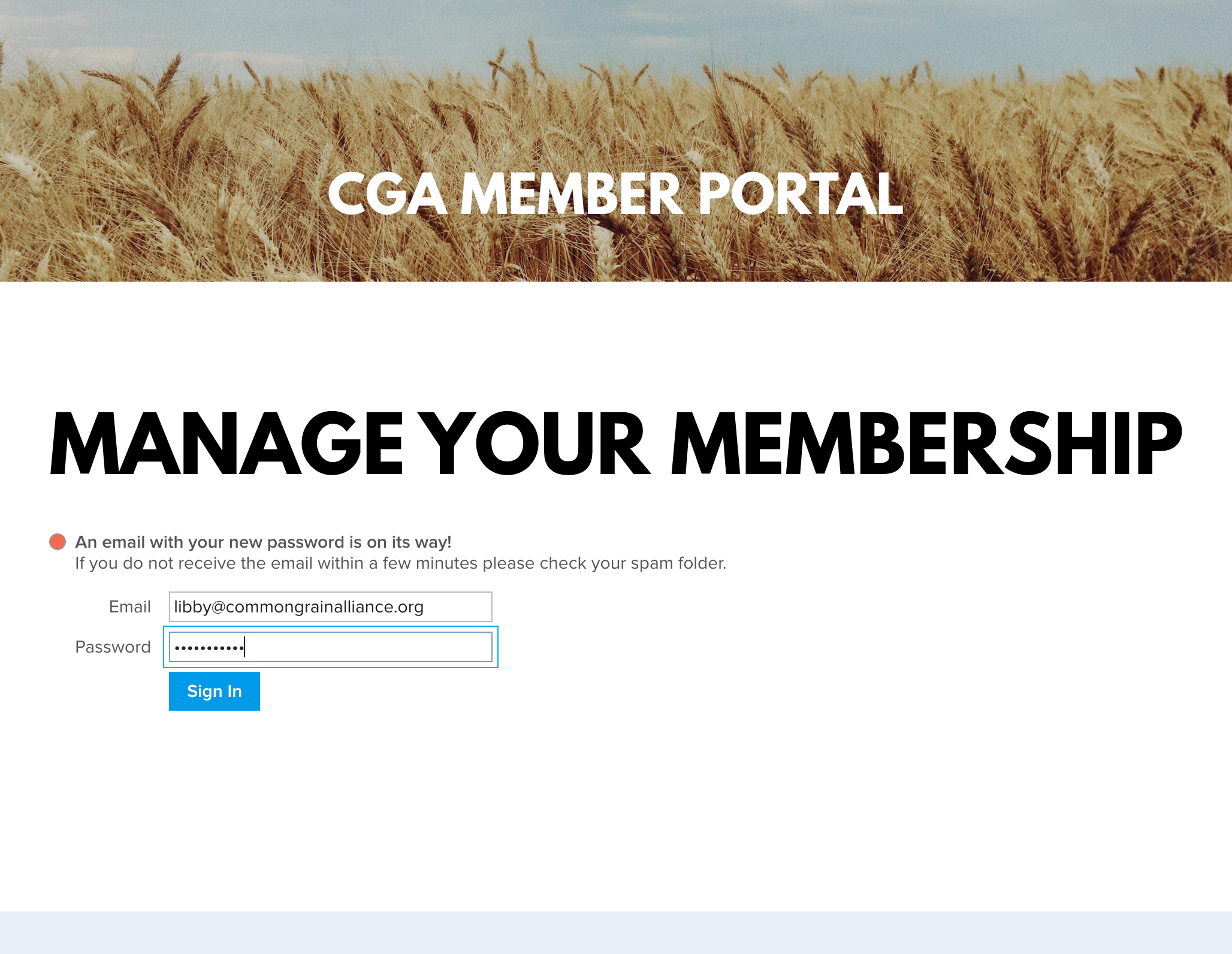Type in your new password and click on Sign In