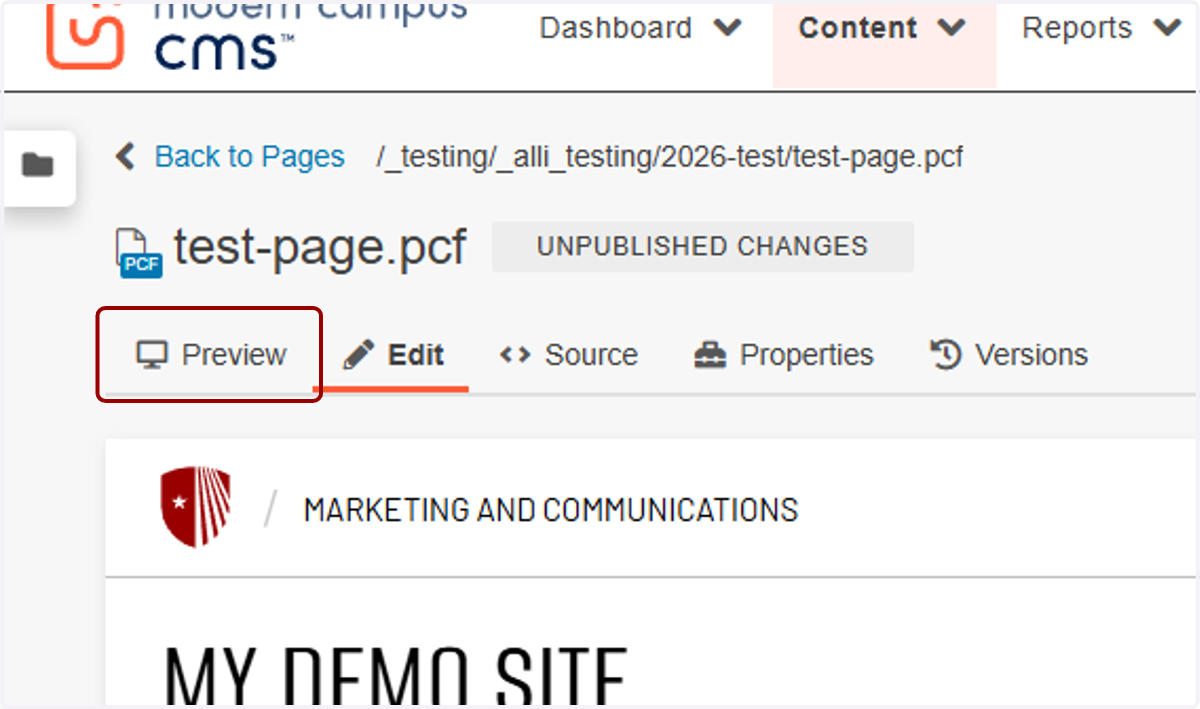 Editor header area with the Preview option highlighted.