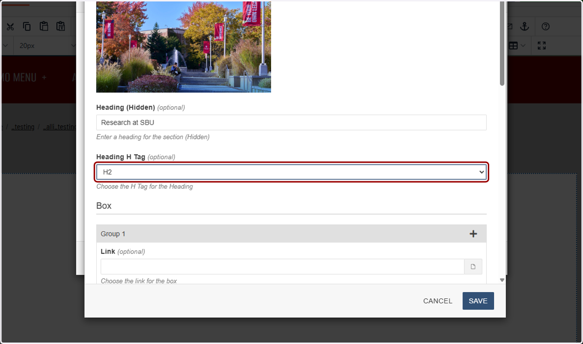 Hidden Heading tag selector dropdown highlighted (H2 option visible/selected).