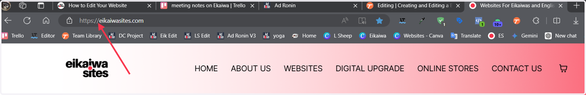 Check the URL in the search bar