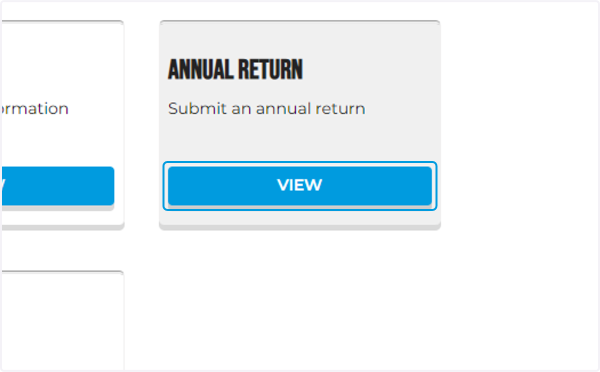 Login to your Portal Dashboard and click the view button under Annual Return