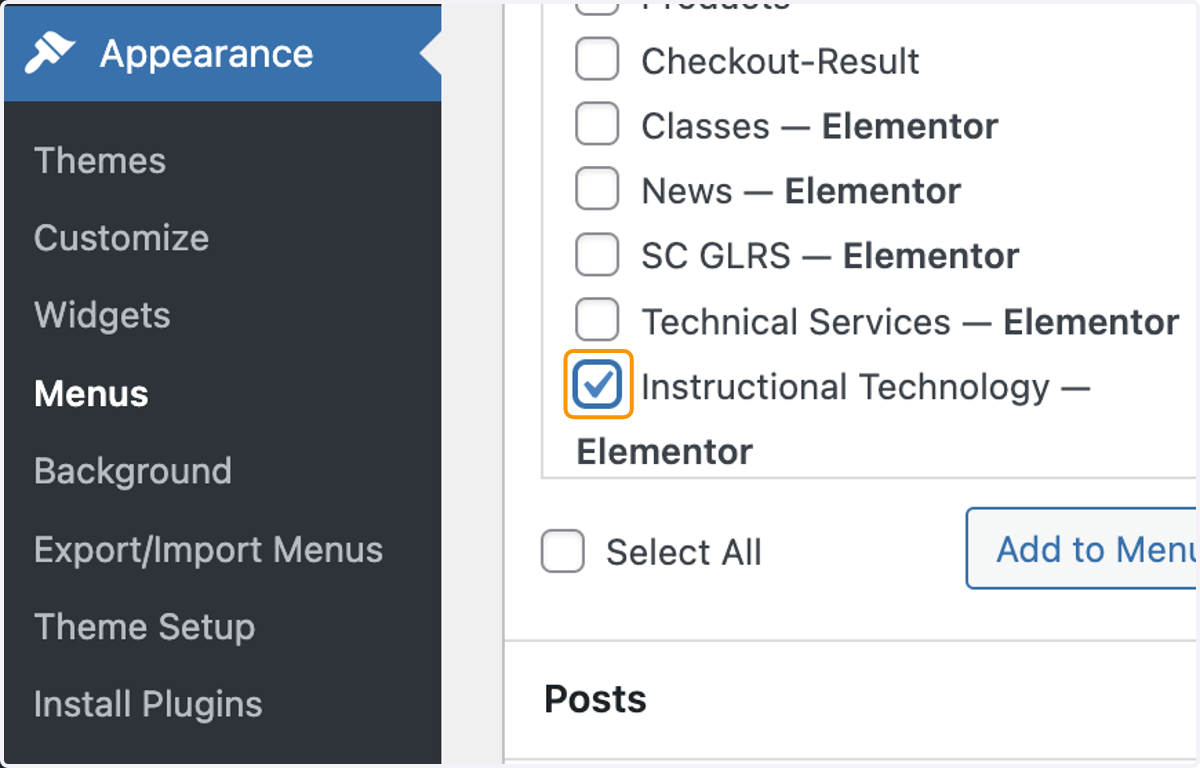 We'll use a Page to add to the menu, click the checkbox to select it