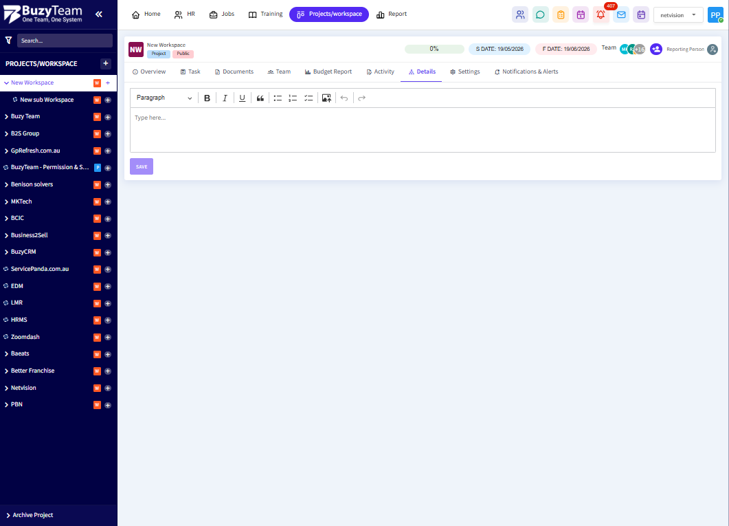The Details section stores workspace-related information including project summaries, ownership, timelines, and reporting structure.