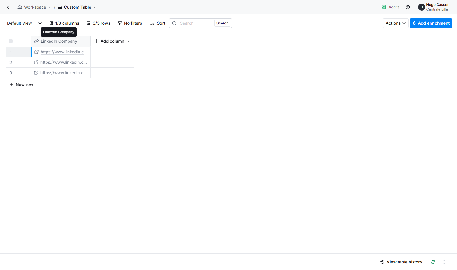 Paste your LinkedIn Company list in a column