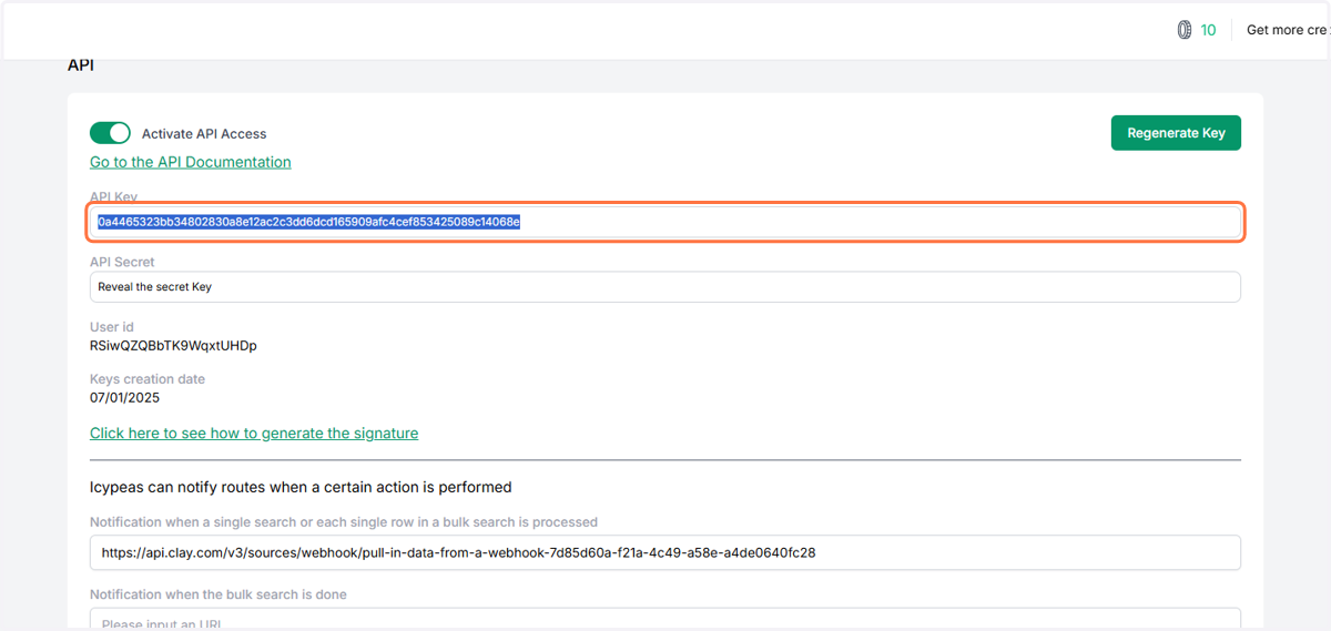 Copy your API Key