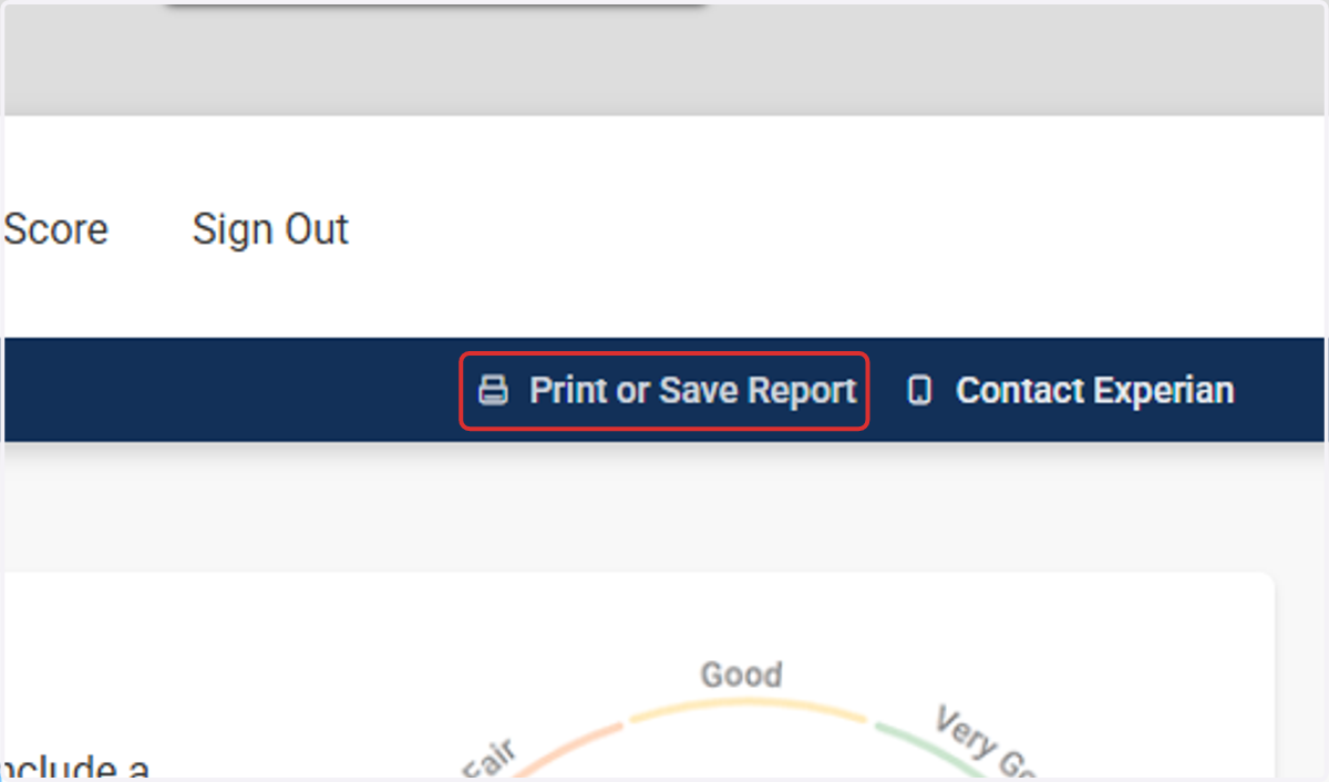 Click on Print or Save Report