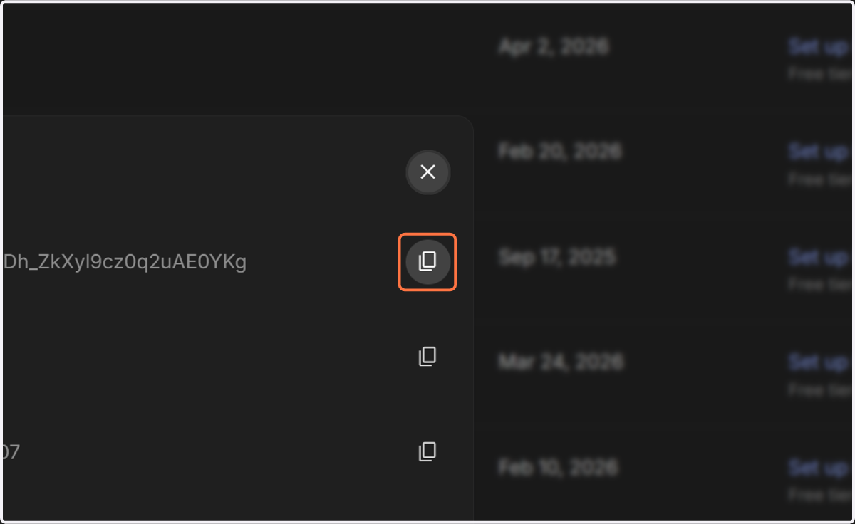 Click on content_copy to copy api key