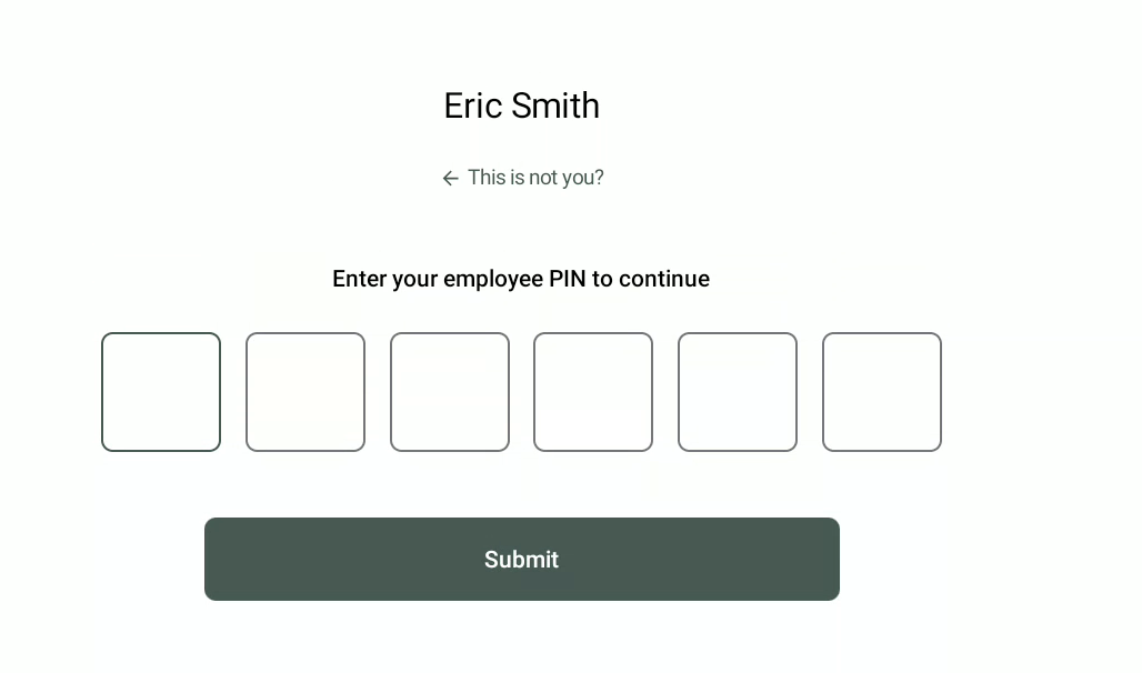 Enter your employee PIN to access the application