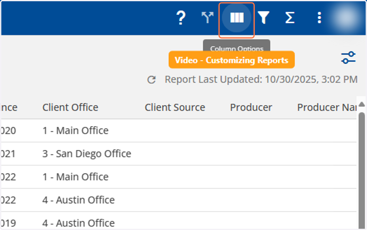 On the top-right corner, click on "Column Options."