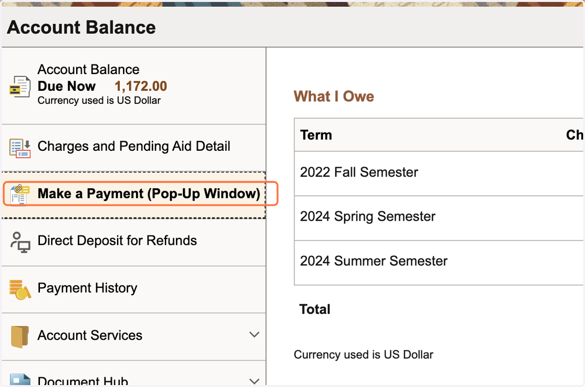 Once ready to make payment, select Make a Payment (Pop-Up Window)