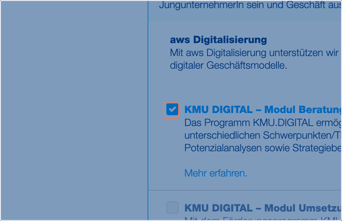Wählen Sie "KMU DIGITAL – Modul Beratung…" aus.