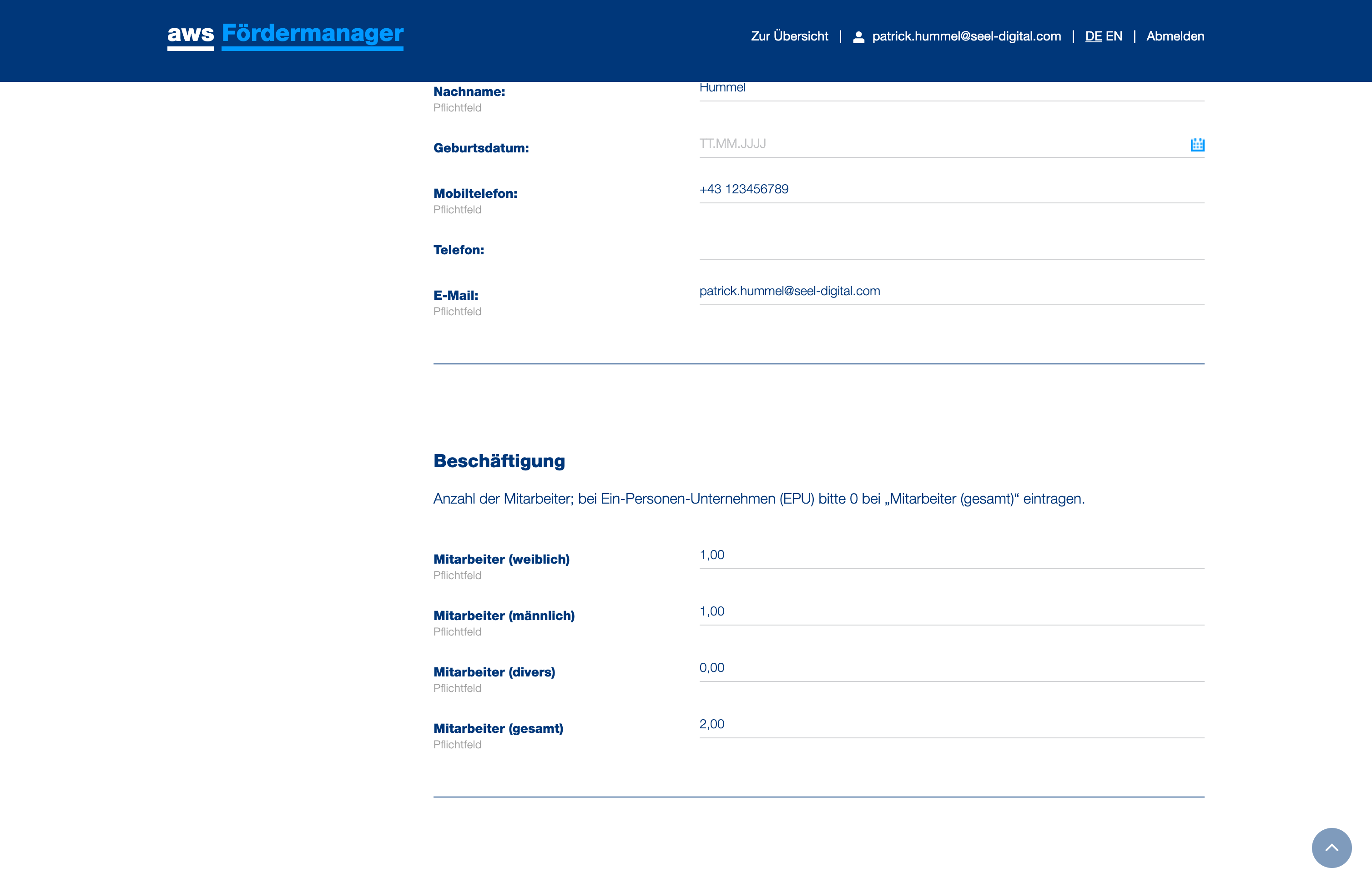 Geben Sie die Anzahl der Beschäftigten an, da Anzahl ein Indikator für die Unternehmensgröße ist, diese muss kleiner als 250 sein (KMU Grenze).