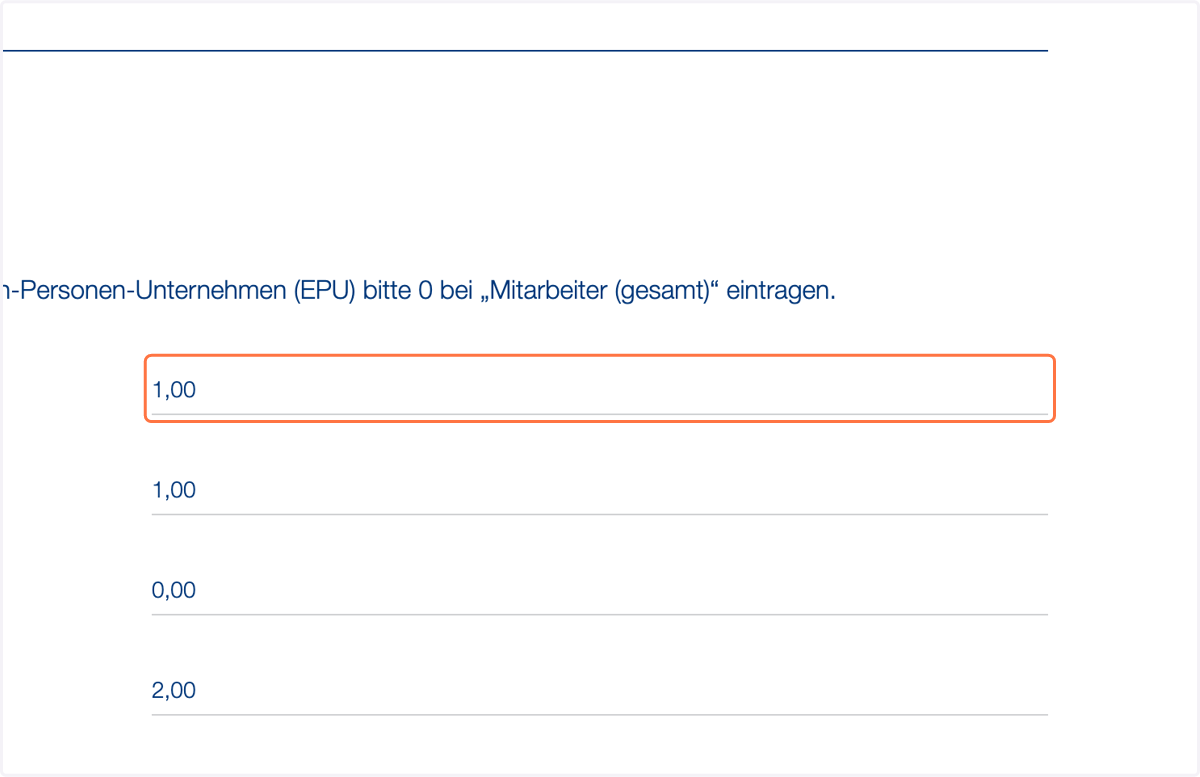 Geben Sie die Anzahl der Beschäftigten an, da Anzahl ein Indikator für die Unternehmensgröße ist, diese muss kleiner als 250 sein (KMU Grenze).