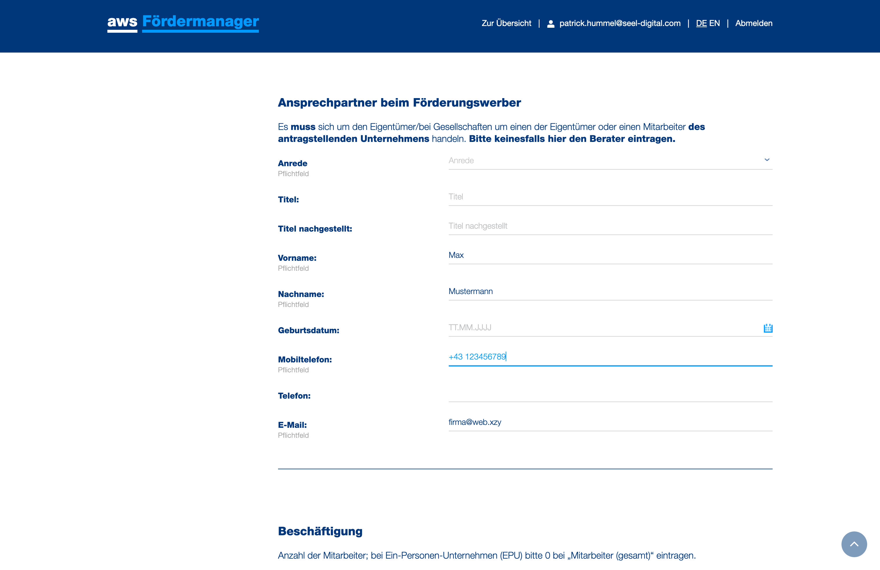 Geben Sie Ihren internen Anprechpartner für die Förderung an. Keinesfalls Anprechpartner von SEEL Digital angeben, hier muss jemand aus Ihrem Unternehmen angeführt werden