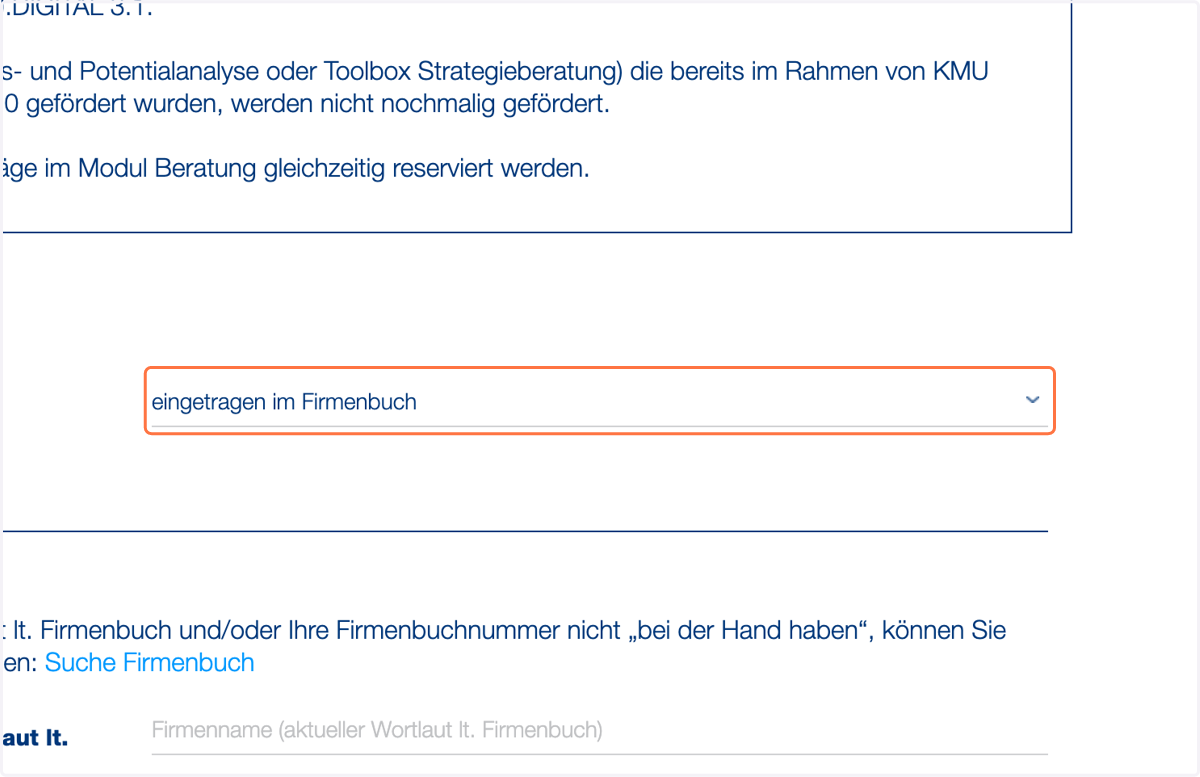Geben Sie an, ob Ihr Unternehmen im Firmenbuch eingetragen ist oder nicht.
