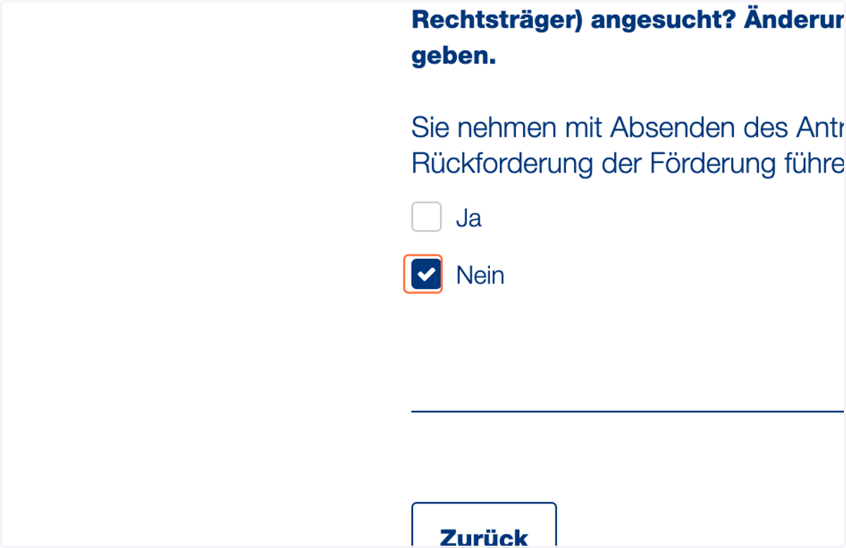 Falls Sie keine weitere laufende Förderung haben, klicken Sie auf "Nein". Falls Sie weitere laufenden Förderungen haben, klicken Sie auf "Ja" und geben Sie diese an.