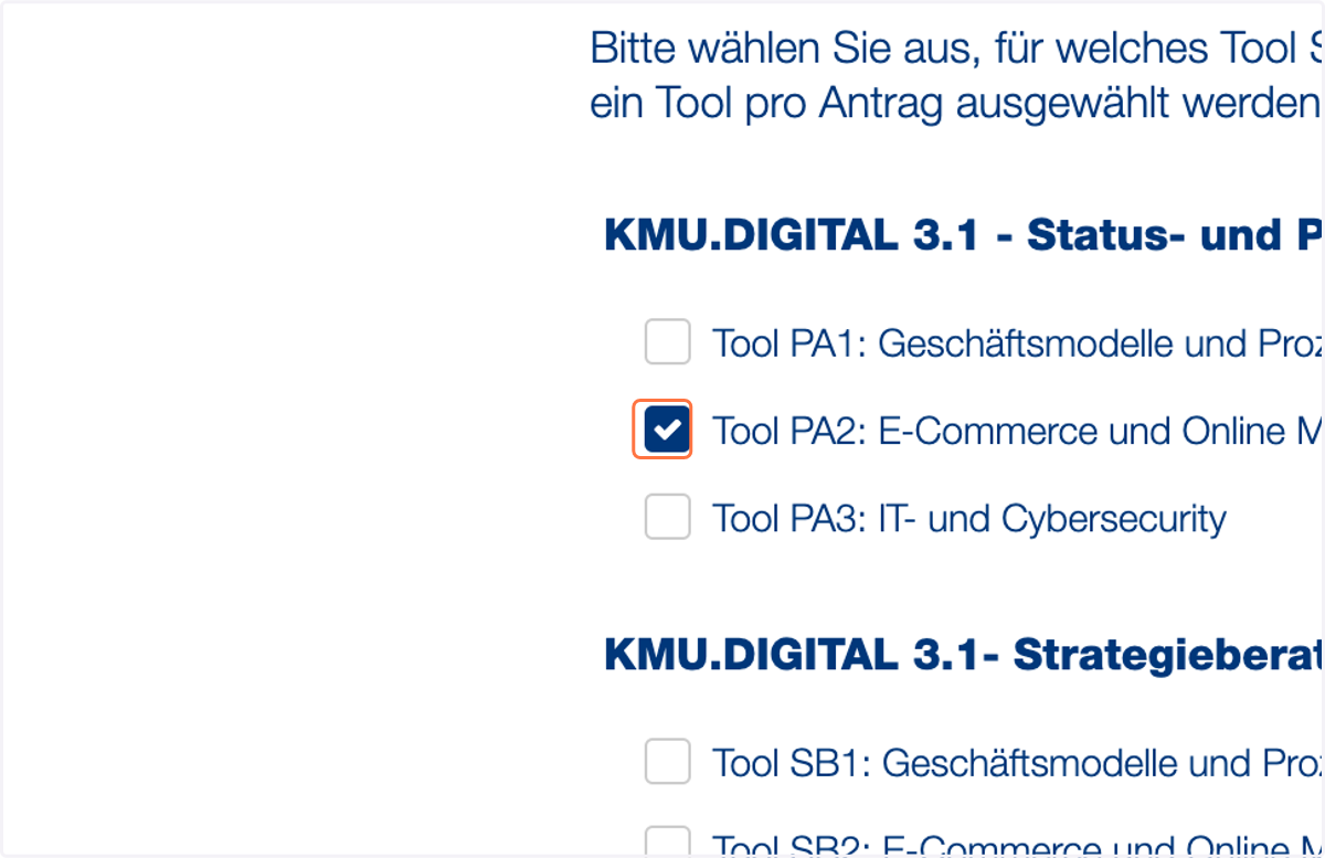 Wählen Sie die Förderung zur Status-und Potentialanalyse für "E-Commerce und Online Marketing" aus. Wählen Sie PA2 (KMU Digital 4.x).
