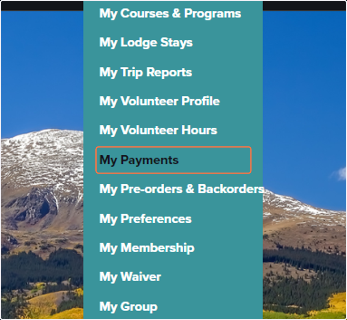 Find "My Payments