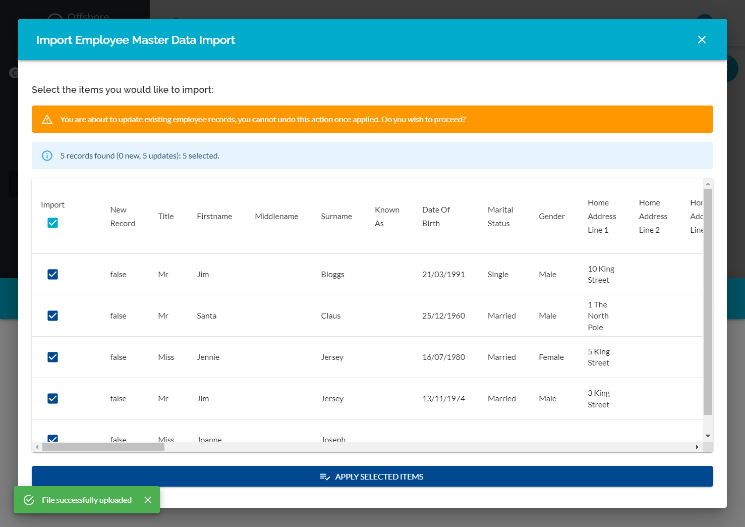 You should now see no warning signs next to the employee records if the data has been updated correctly. You will now see the number of new records and updated records.
