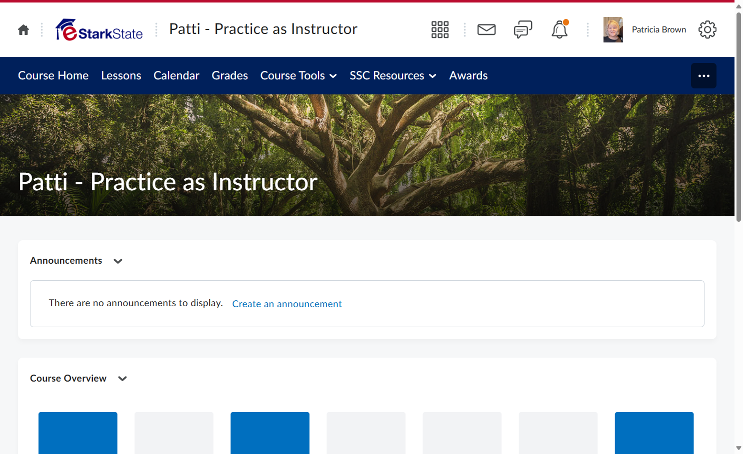Click on Course Tools