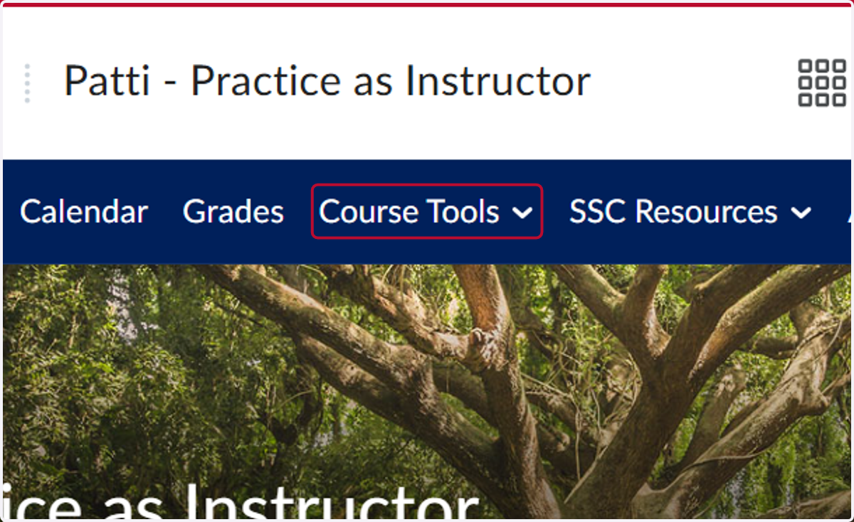 Click on Course Tools