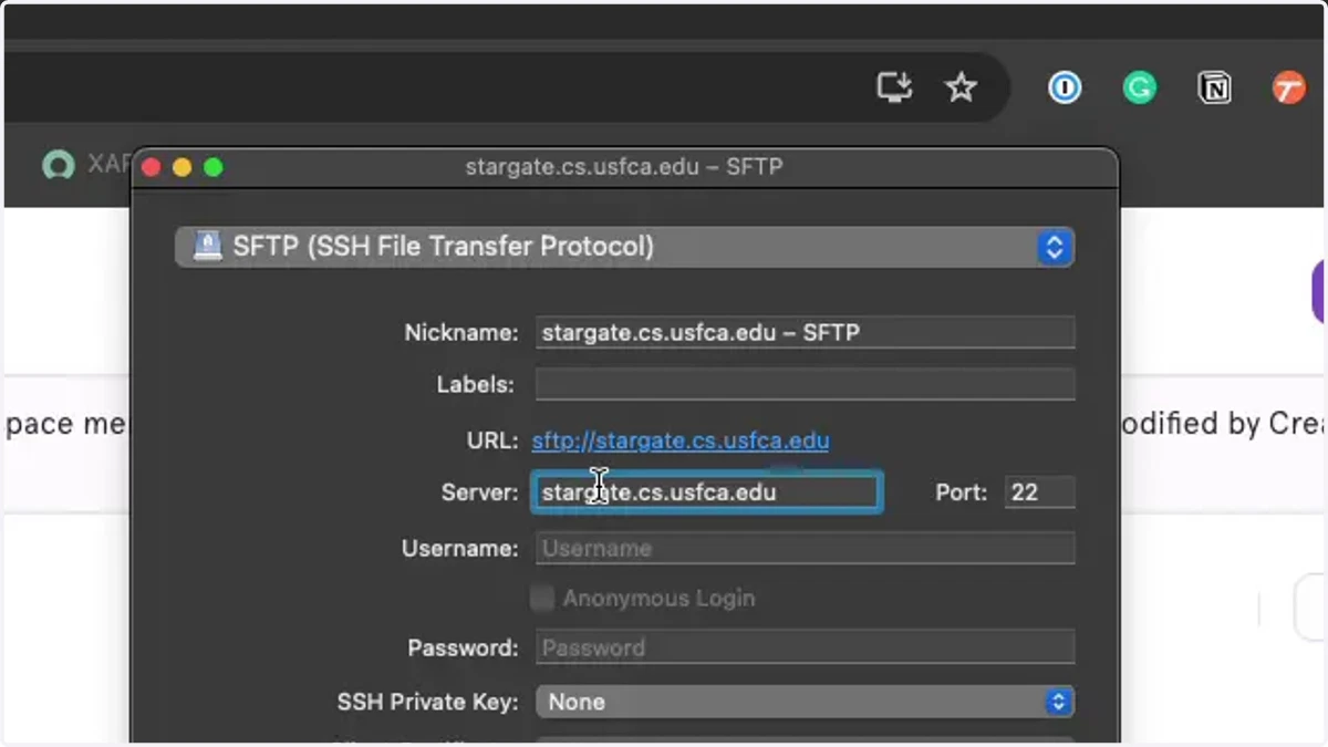 Enter the CS server address stargate.cs.usfca.edu.