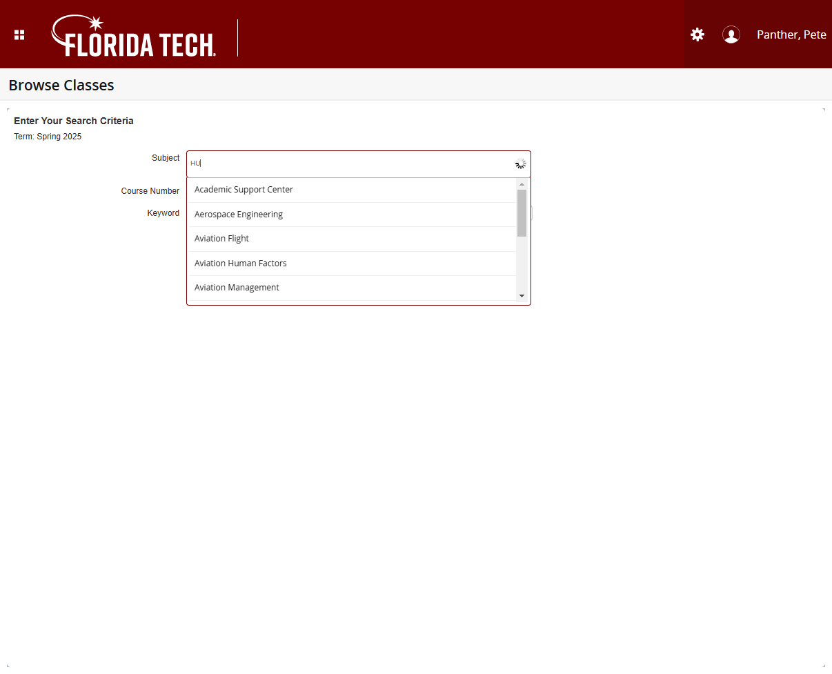 Type Search Criteria