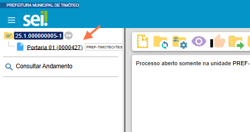 Abrir o Documento