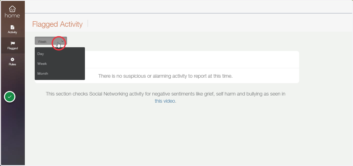 Flagged content window